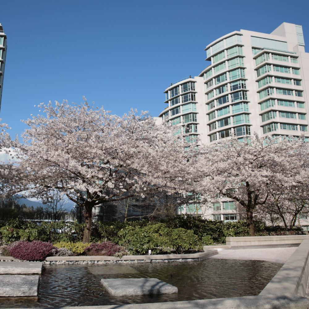 Coal Harbour