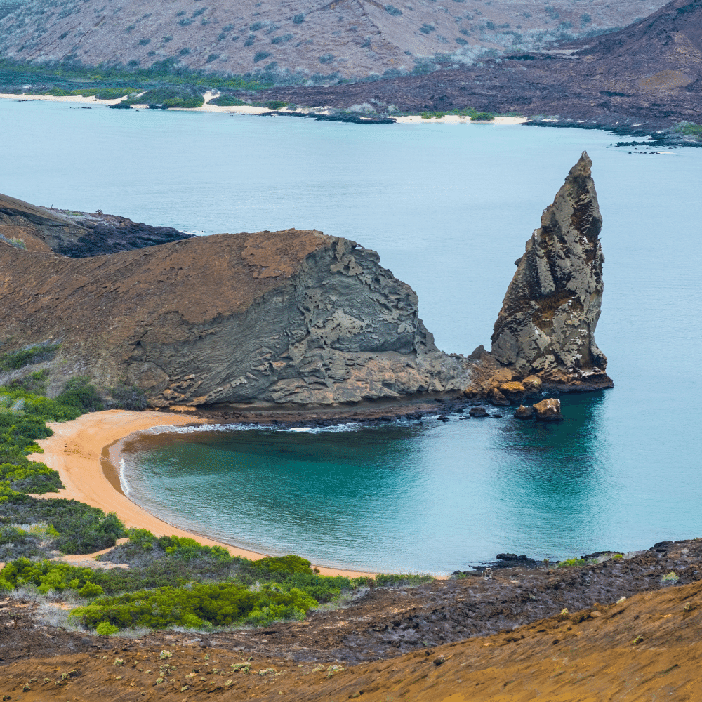 The Galapagos Islands