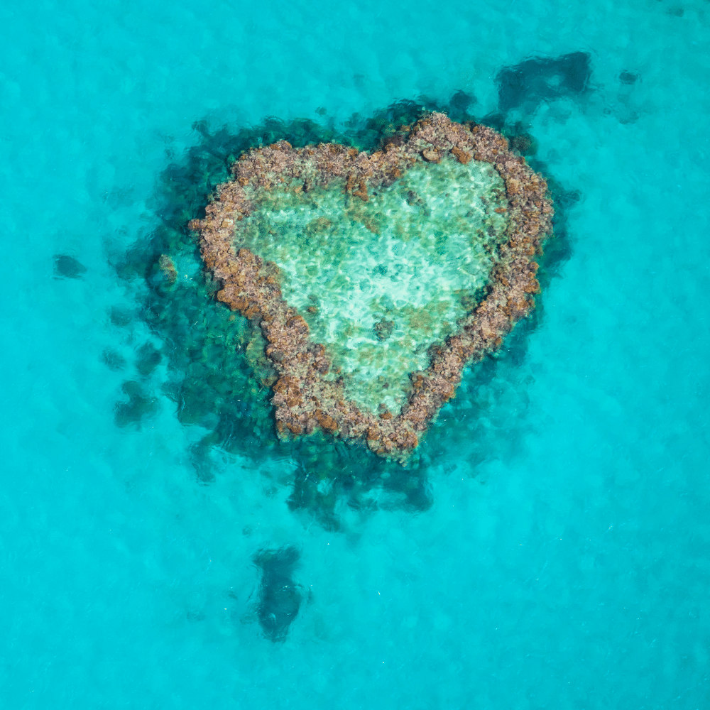 The Great Barrier Reef