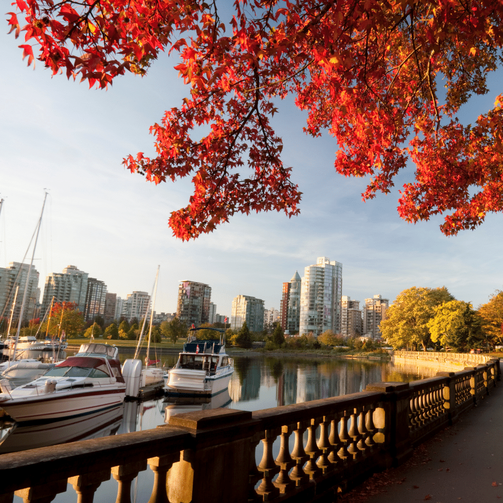 The Best Time to Visit Vancouver A Comprehensive Guide