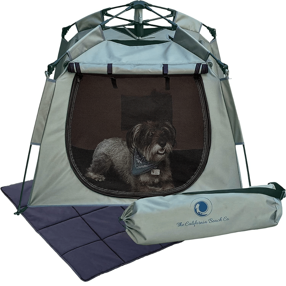 Best Dog Camping Tent 4 Your Pooch Will Love!