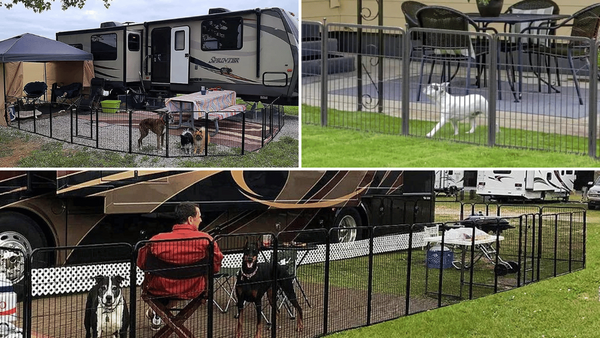 camping dog fence