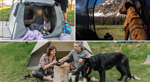 Dog Camping Tent
