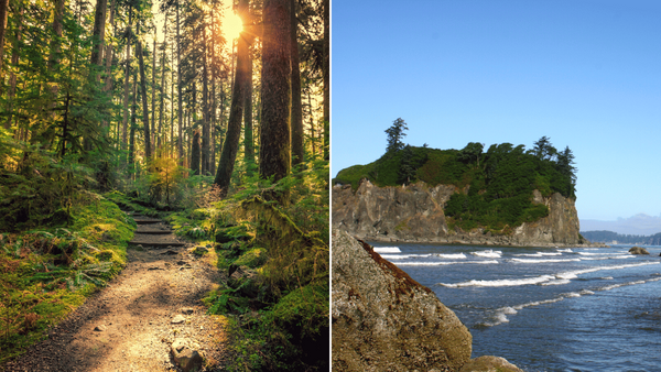 5 Must-See Attractions in Olympic National Park