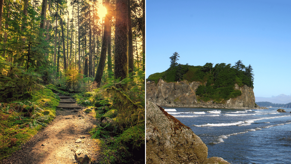 Things to Do in Olympic National Park: The Ultimate Guide to an Unforgettable Visit 🌲🏔️