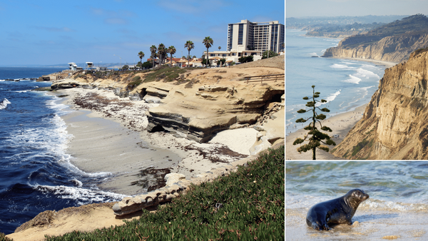 Explore La Jolla: 8 Exciting Activities to Enjoy in the Beautiful Southern California Coastline!