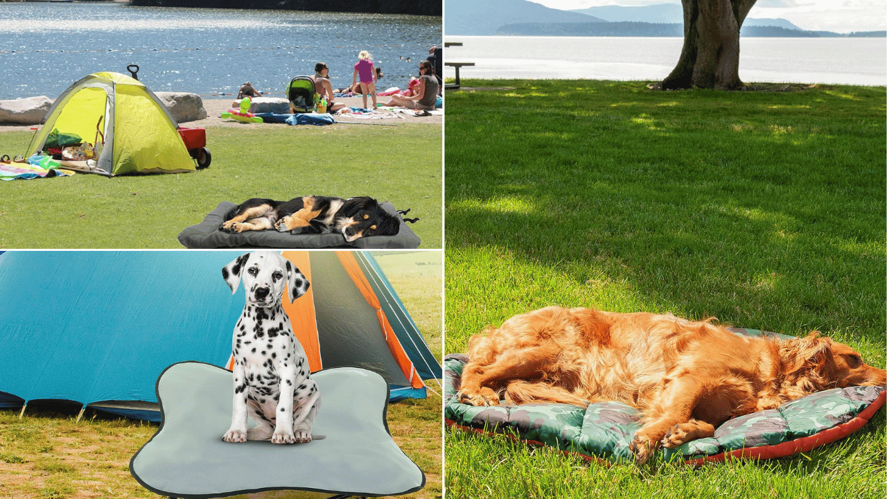 Dog Camping Bed