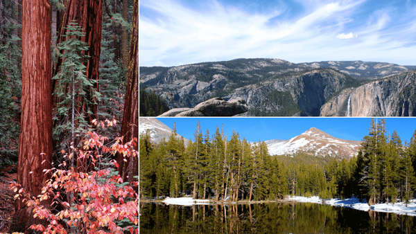 Must See Places in Yosemite National Park
