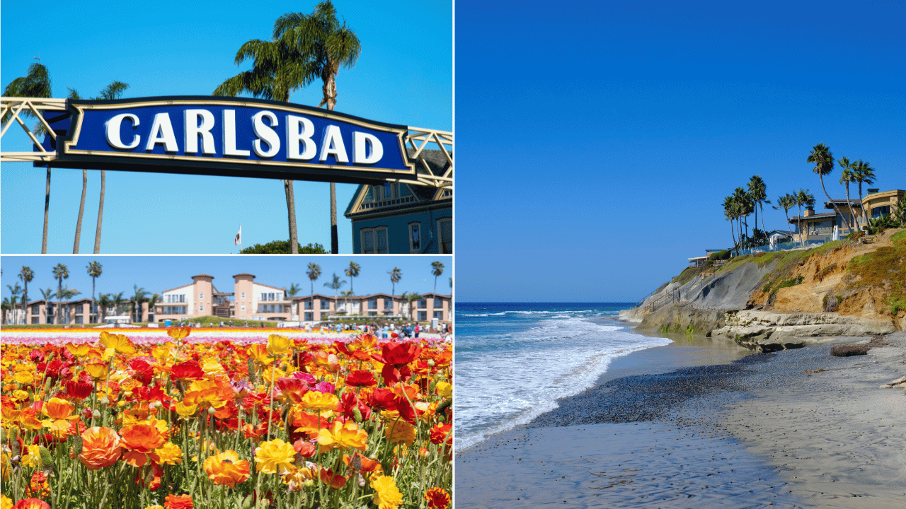 Things To Do In Carlsbad, CA