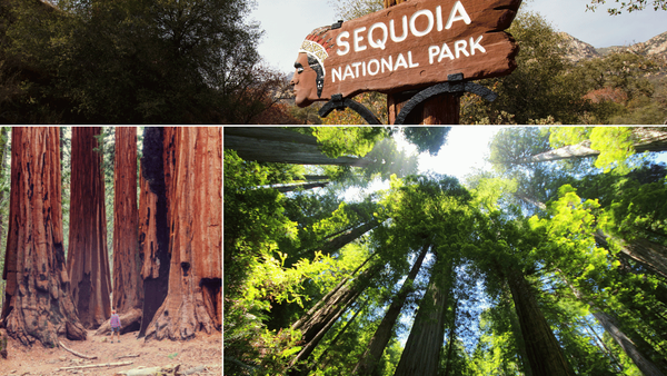 Attractions in Sequoia National Park